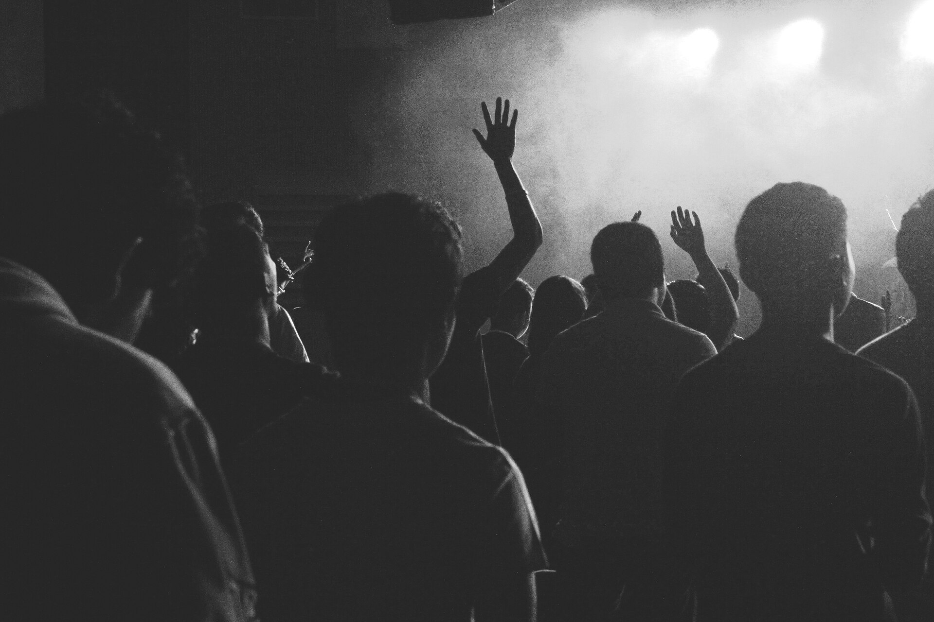 Concert audience